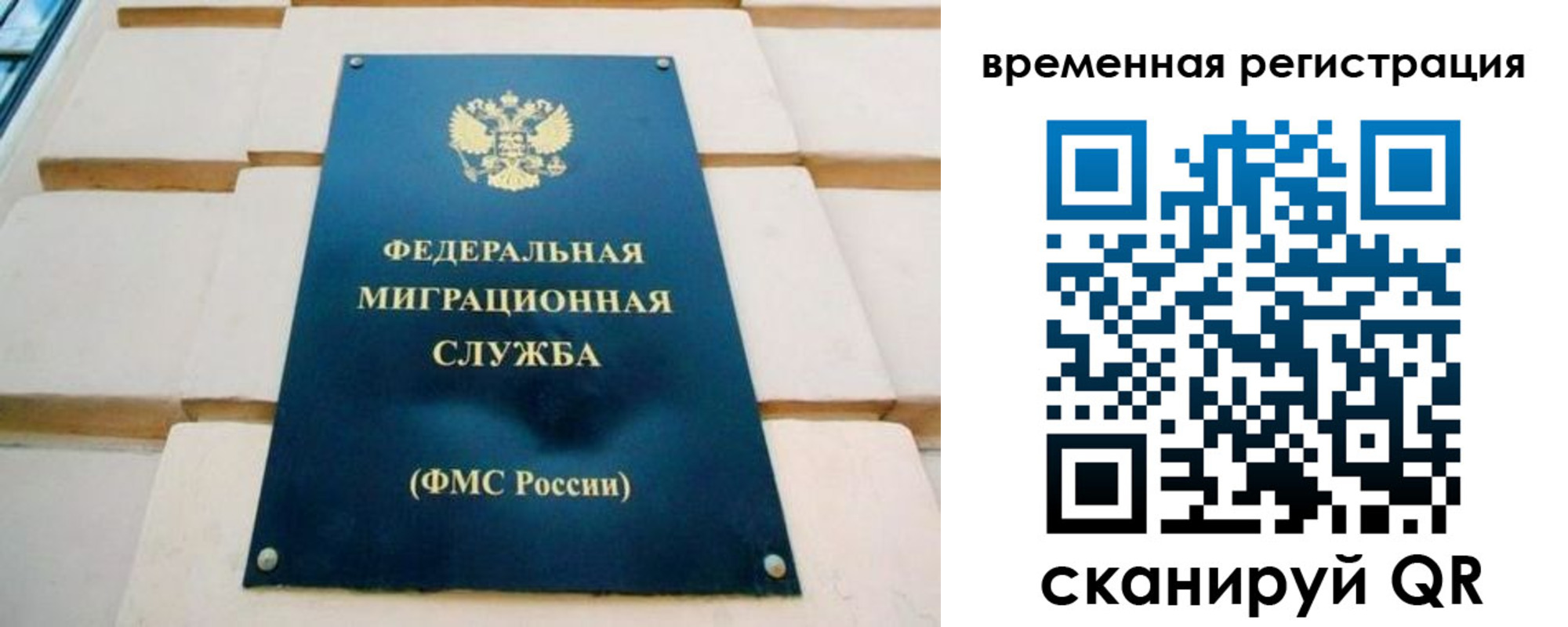 прописка гарантия в Выборге